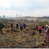 Створення лісових культур у Климецькому лісництві за участі школярів